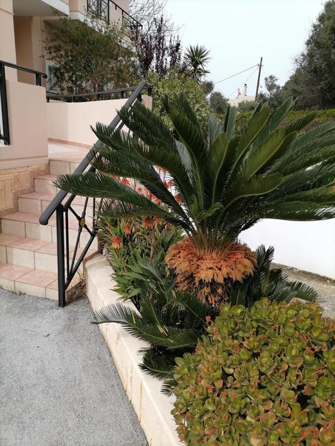 Kydoni Apartments And Studios Agia Marina  Bagian luar foto