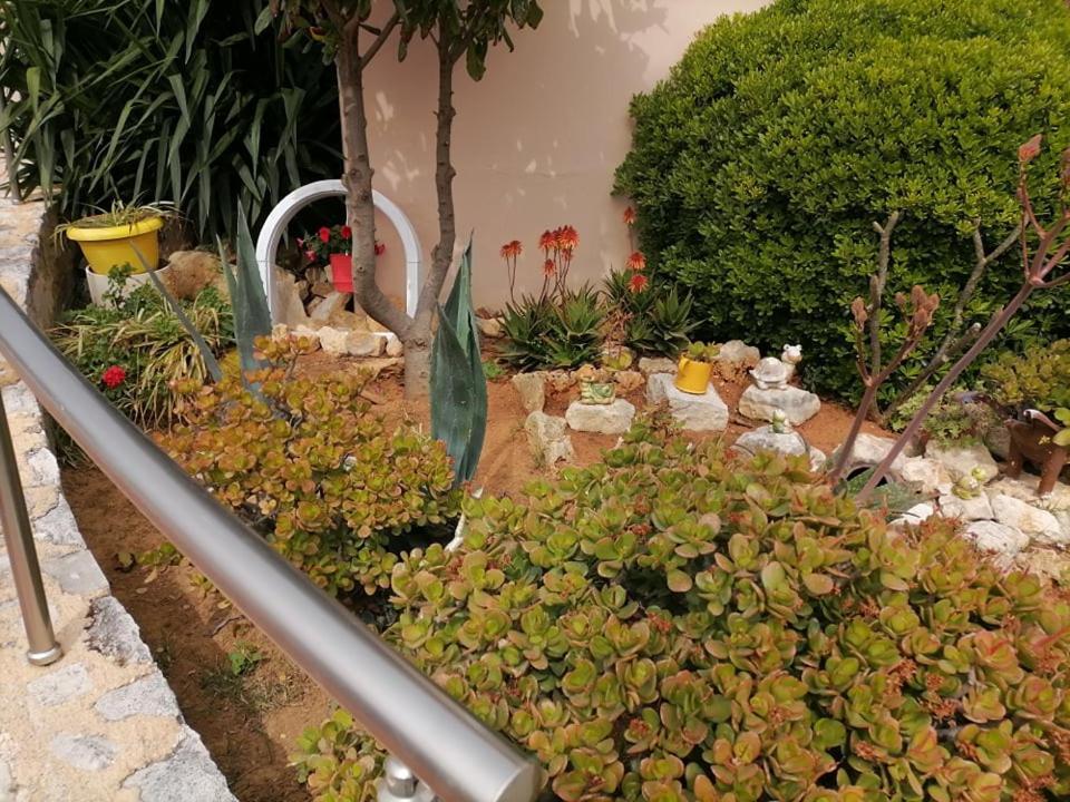 Kydoni Apartments And Studios Agia Marina  Bagian luar foto